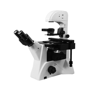 Fluorescence Microscope